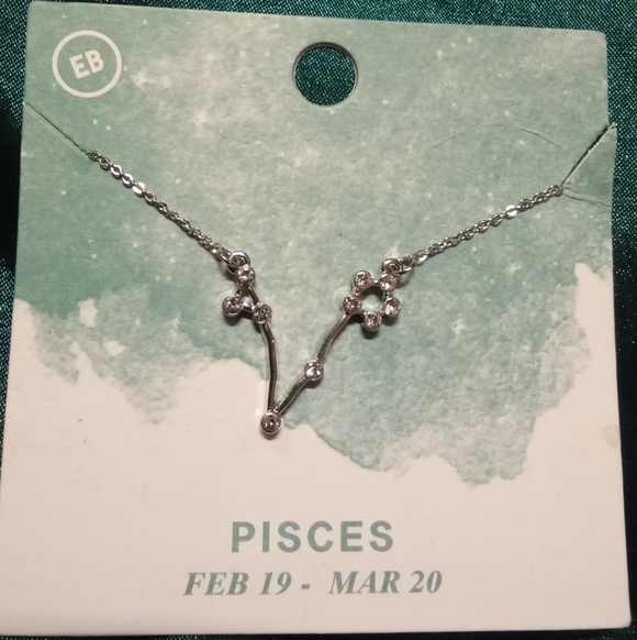 Elegant Silver Pisces Necklace - Picture 3 of 3